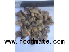 brine oyster mushroom