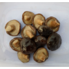 brine shiitake mushrom