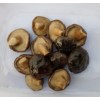 brine shiitake mushroom