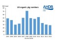 Further Decline in UK Organic Pig Production