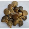 brined oyster mushroom