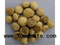 brine button  mushroom