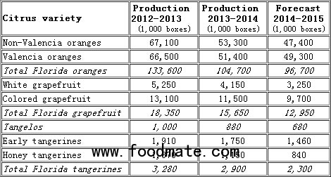 citus forecast report