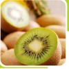 kiwi seed oil