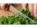 More than 380 in US sickened by cilantro-linked infection