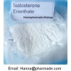 USP Testosterone Enanthate shijingu Anabolic hormone Top quality