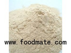 WHEAT GLUTEN MEAL