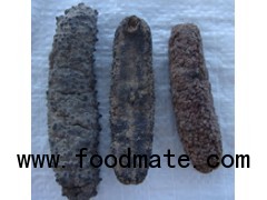 Dried Sea Cucumbers