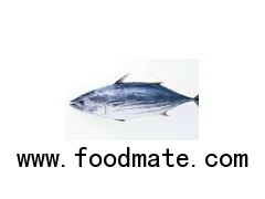 mackerel purshase information