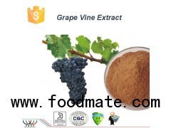 Pure natural balancing blood sugar antioxidant grape vine extract
