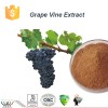 Pure natural balancing blood sugar antioxidant grape vine extract