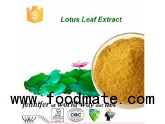 Lotus Leaf Extract