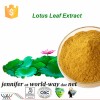 Lotus Leaf Extract