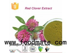 Red Clover Extract