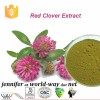 Red Clover Extract