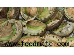 FRESH DRY AND FROZEN ABALONE