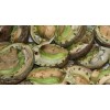 FRESH DRY AND FROZEN ABALONE