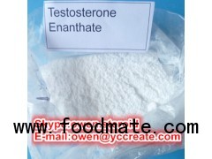 Testosterone enanthate powder salt Androtardyl 250mg for sale