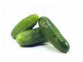 Salmonella outbreak across US states causes cucumber recalls