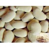 SALE AT A DISCOUNT！White Kidney Bean Extract