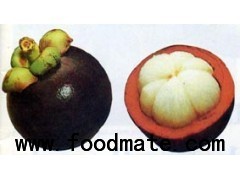 Mangosteen