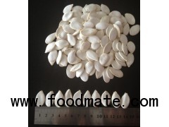 2015 crop high quality snow white pumpkin seeds