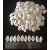 2015 crop high quality snow white pumpkin seeds