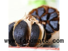 2015 high quality black garlic