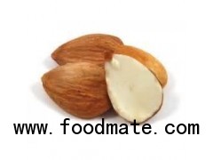 100% Natural Almond seed P.E. From 3W Manufacturer