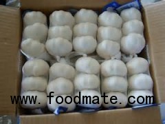 5.5cm FACTORY PURE WHITE FRESH GARLIC