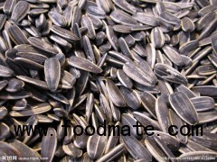 Sunflower seeds