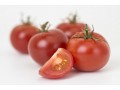 UK scientists find method to produce natural compounds in GM tomatoes to help combat ailments