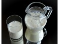 Study finds health benefit to consuming full-fat dairy