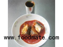 Canned sardines in tomao sauce