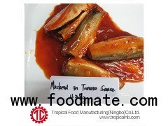 Canned mackerel in tomato sauce