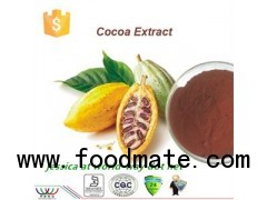 cocoa powder