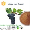 Grape Vine Extract