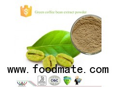 green coffee extract