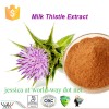 Milk Thistle Extract