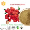 Lychee Seed Extract