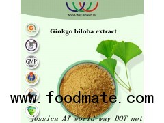 Ginkgo biloba extract