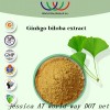 Ginkgo biloba extract