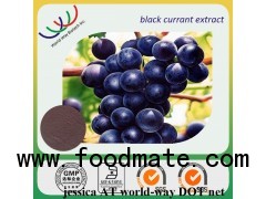 Black Currant Extract