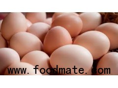 Fresh Table Chicken Eggs