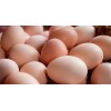 Fresh Table Chicken Eggs