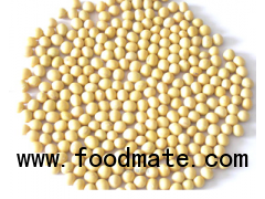 Soy bean P.E.(552-66-9 )