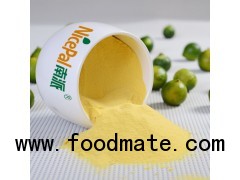 Manufacturer Direct Supply Spray Dried Lime Juice Powder