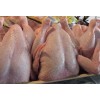 Frozen Whole Chicken