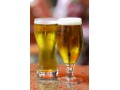 Venture capital firm Sequoia invests in Indian craft beer brand Bira 91