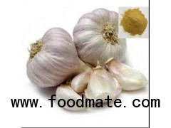 High Quality Garlic Extract